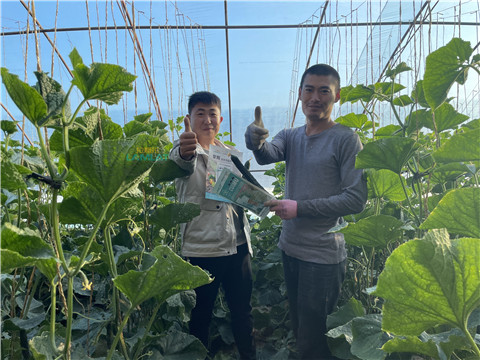 水溶肥，翠姆，拉姆拉