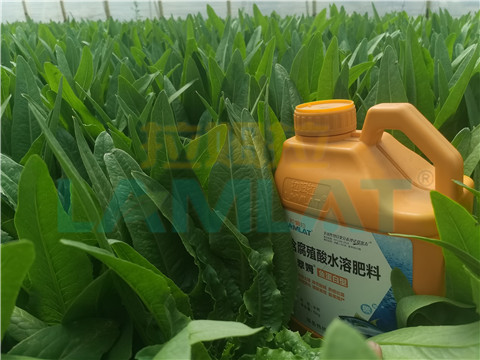 水溶肥，翠姆，拉姆拉