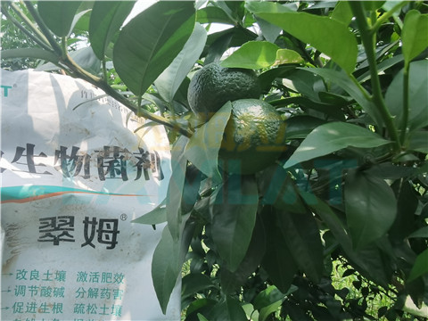 微生物菌劑，翠姆，拉姆拉