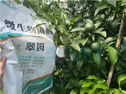 微生物菌劑，翠姆，拉姆拉