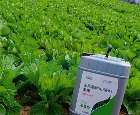 水溶肥，翠姆，拉姆拉