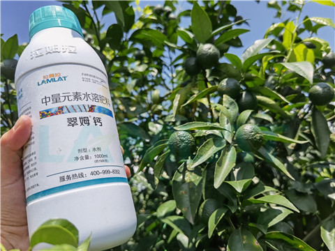 水溶肥，拉姆拉，翠姆