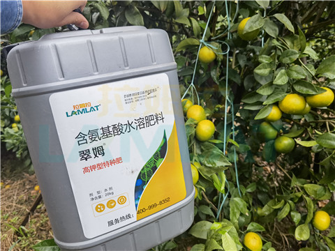 水溶肥，拉姆拉，翠姆