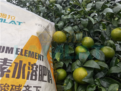 水溶肥，拉姆拉，翠姆