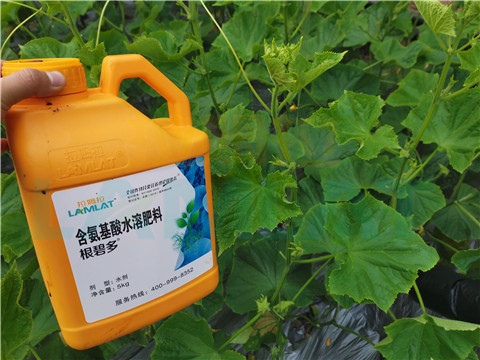 水溶肥，拉姆拉，翠姆