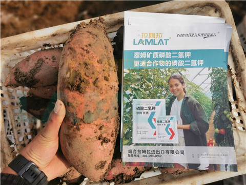 水溶肥，拉姆拉，翠姆