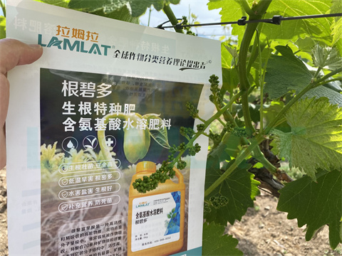 水溶肥，拉姆拉，翠姆