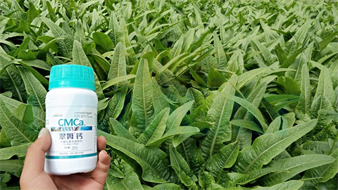 水溶肥，拉姆拉，翠姆