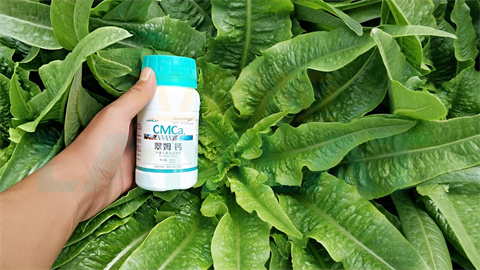 水溶肥，拉姆拉，翠姆