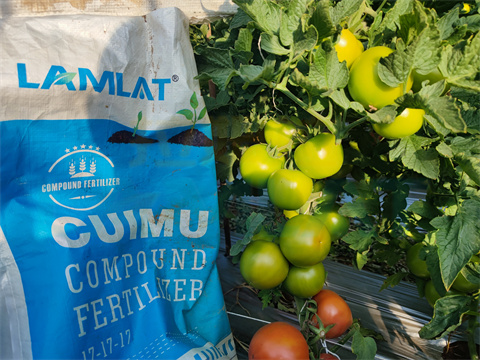 水溶肥，拉姆拉，翠姆