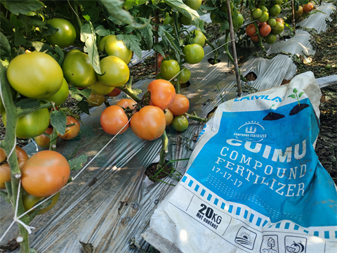 水溶肥，拉姆拉，翠姆