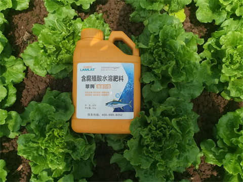 水溶肥,翠姆，蔬菜水溶肥