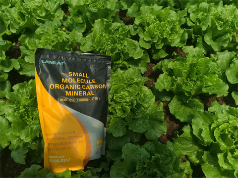 水溶肥,翠姆，蔬菜水溶肥