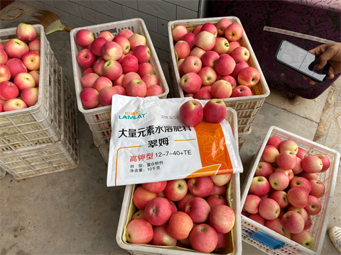 水溶肥,翠姆,蘋(píng)果種植