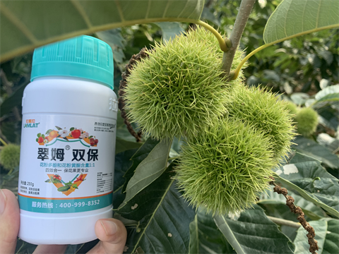 水溶肥品牌,板栗?；ū９?翠姆雙保