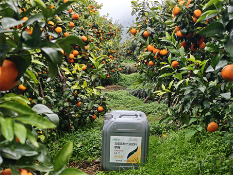 水溶肥品牌,拉姆拉,滴灌級特種肥