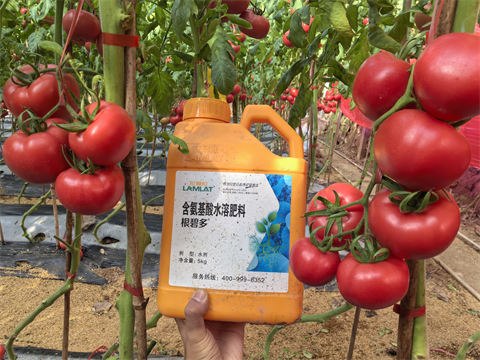 水溶肥品牌,拉姆拉,滴灌級特種肥