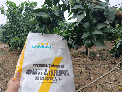 水溶肥品牌,柑橘種植,拉姆拉滴灌級特種肥