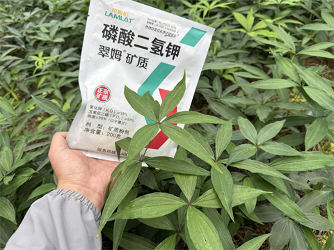 水溶肥品牌,黃精種植,拉姆拉滴灌級(jí)特種肥