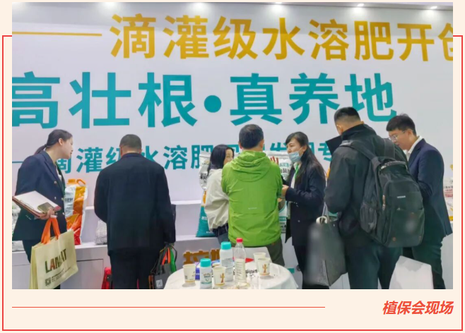 全國植保會,水溶肥廠家,拉姆拉滴灌級特種肥 全國植保會,水溶肥廠家,拉姆拉滴灌級特種肥